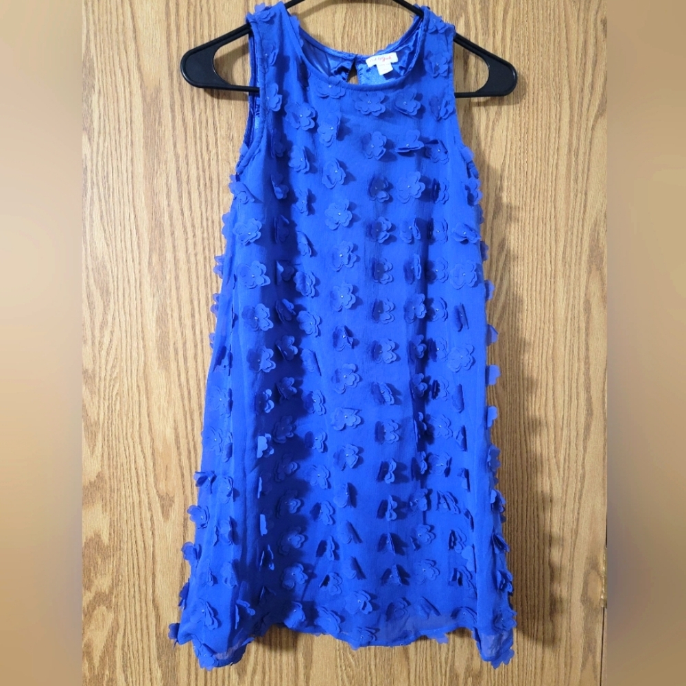Cat and Jack Girls Blue Sleeveless Dress With 3D Flowers size L 10/12